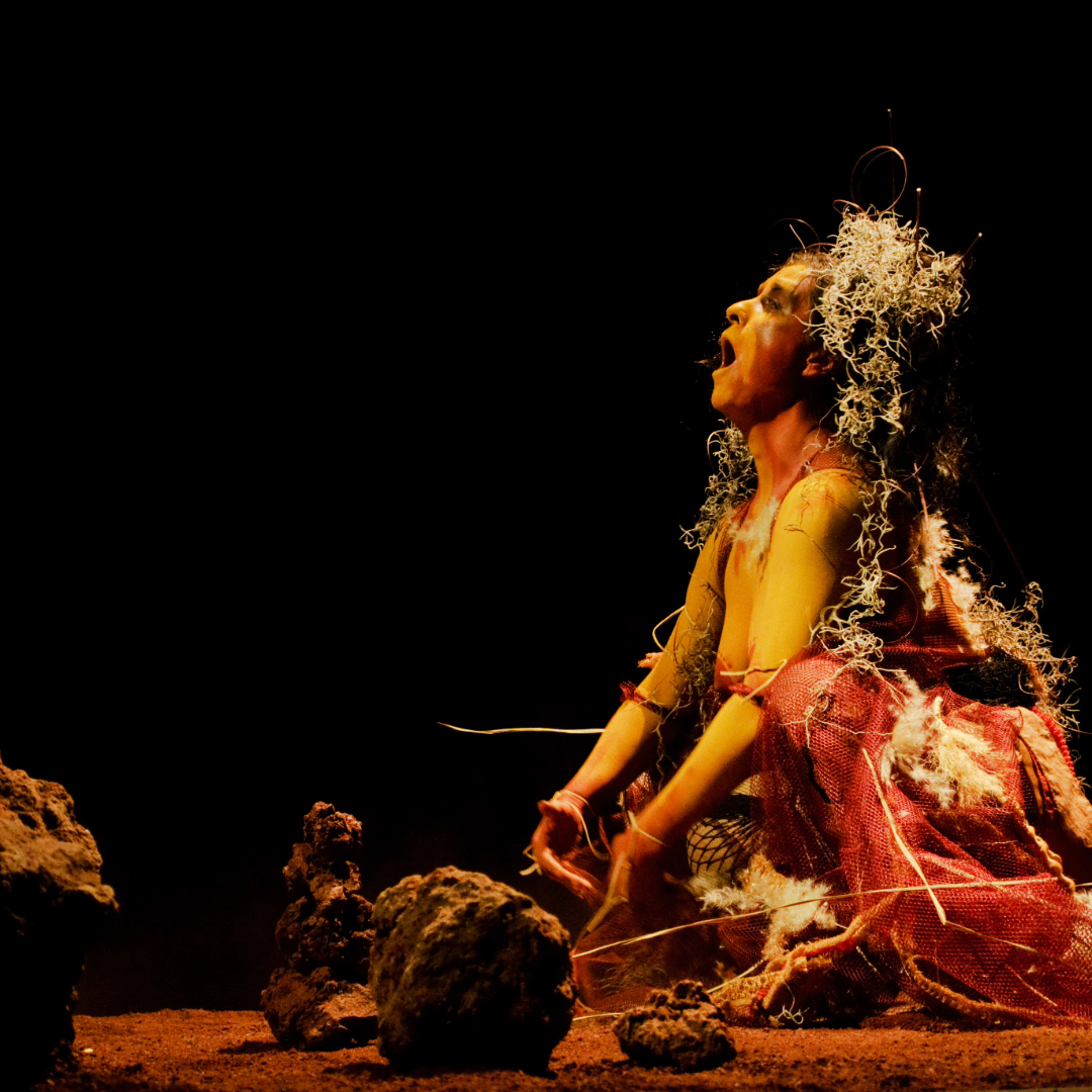 Lluvia de palos Eugenia Vargas